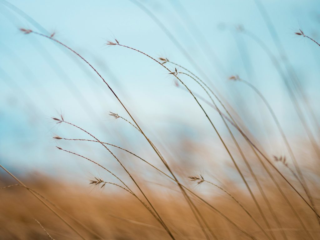 Finding Relief After Suicide Loss
