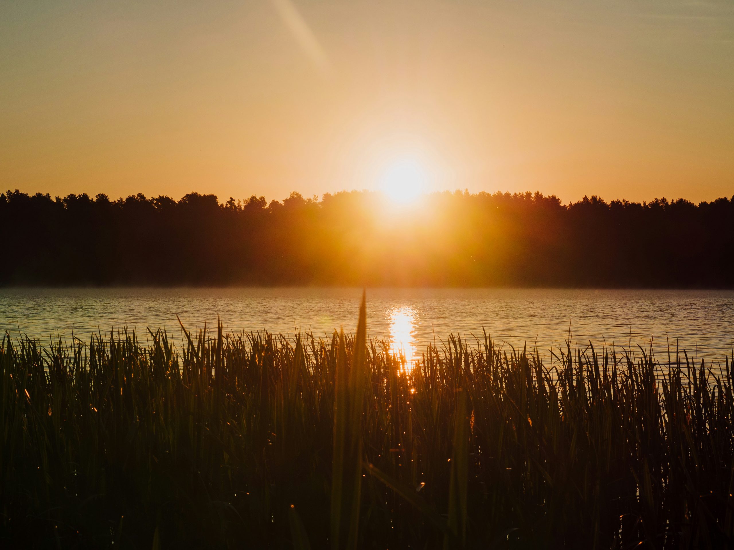 Growth After Suicide Loss is Leading me to Nomadic Living