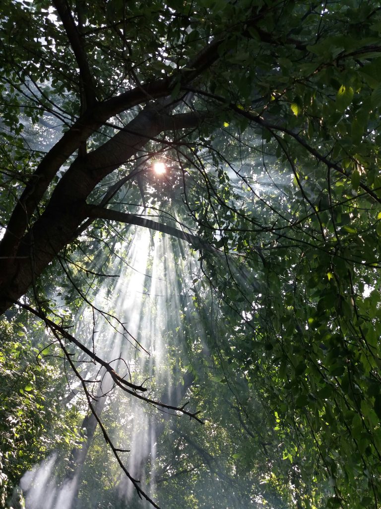 Parenting Through Grief Without Losing Yourself
