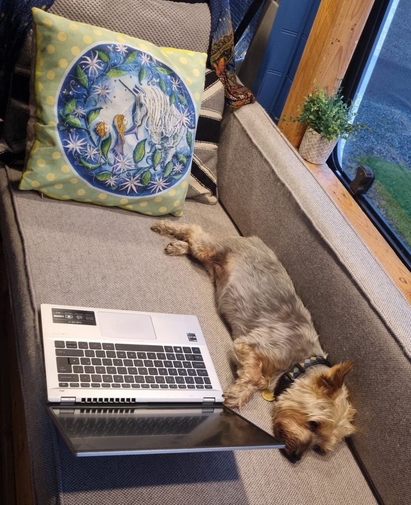 Healing in Dog Time