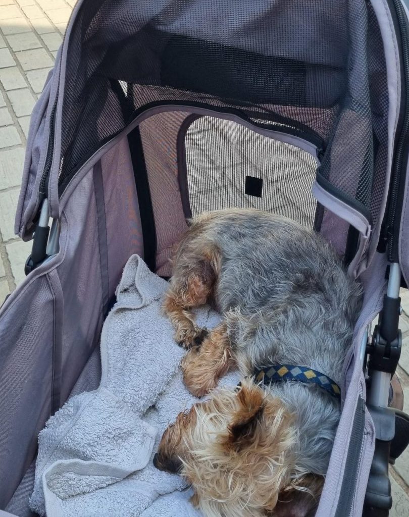 mileypushchair
